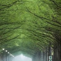 學習資料庫