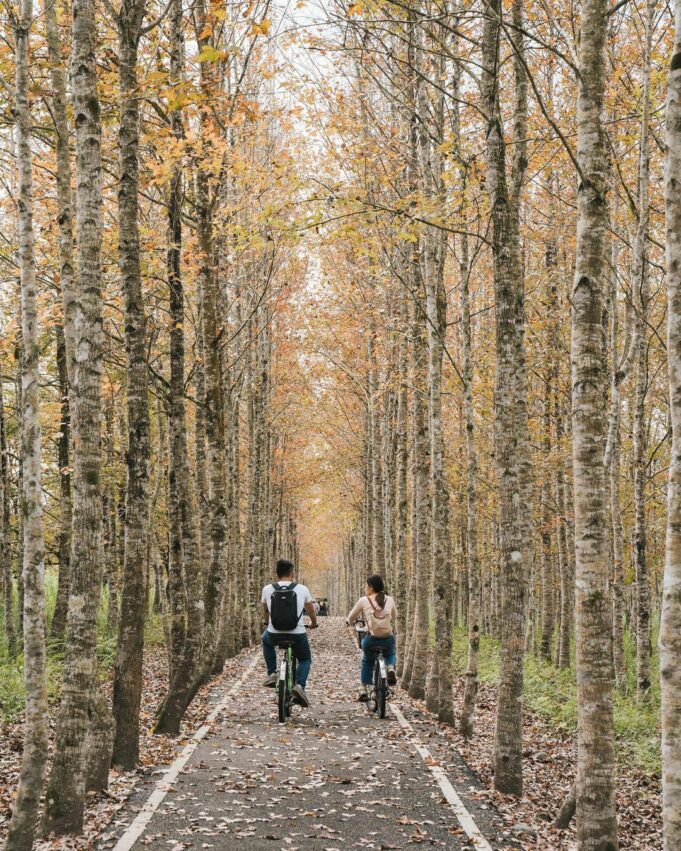 花蓮光復糖廠｜光復景點, 花蓮光復, 日式, 花蓮觀光糖廠 大農大富