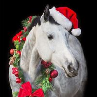 Xクリスマスホースショー🎄