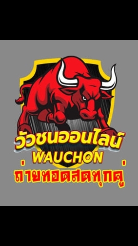 ติดขอบสนามวัวชน656