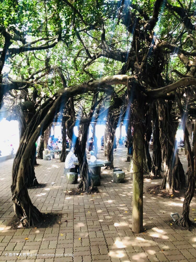 20190606-08澎湖達人旅遊！_190824_0456.jpg