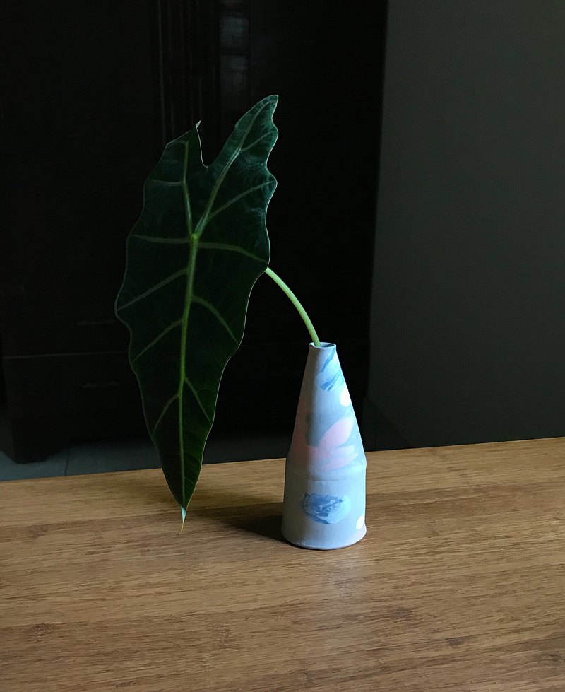 有些迷幻的紋理與色塊裝飾的花器, 簡單搭配植物就很美。