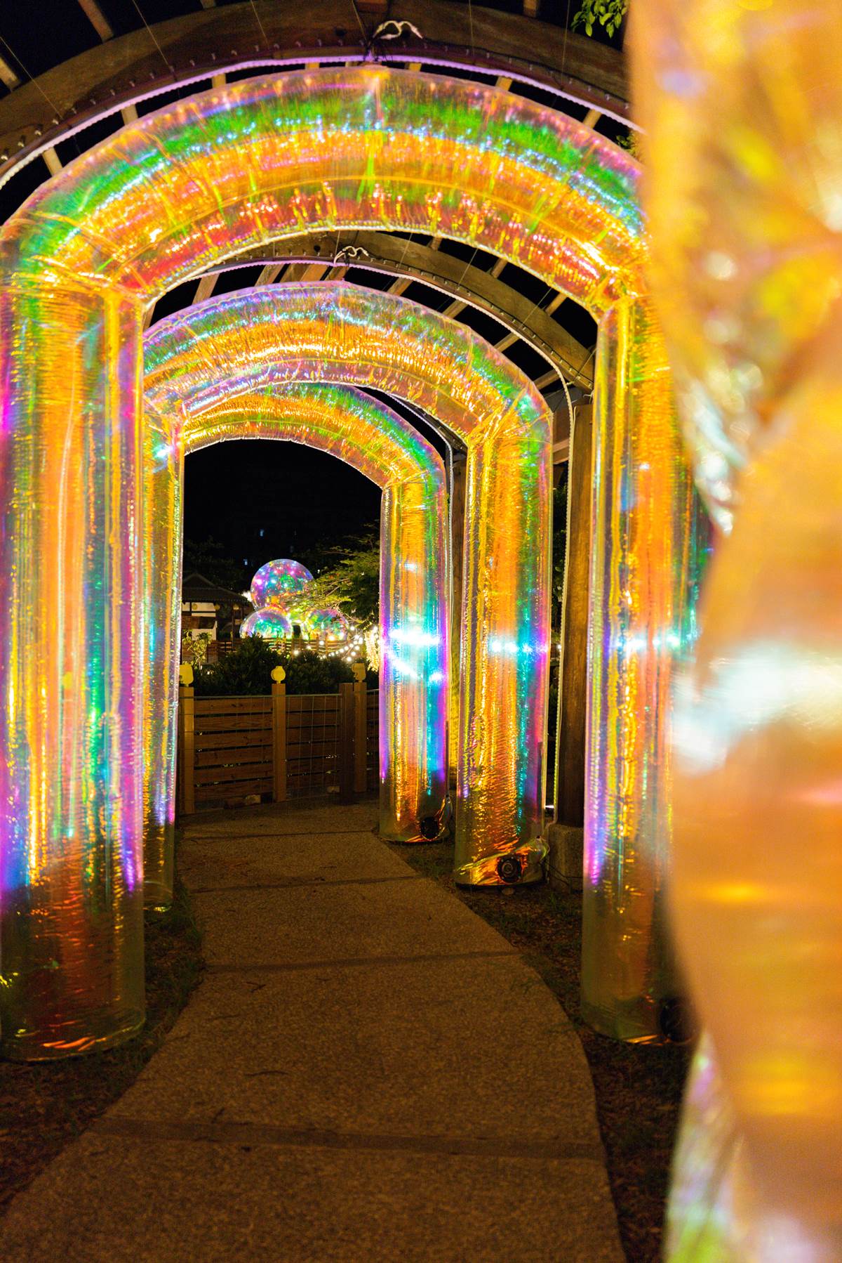 「最南端溫泉公園」水豚出沒！近距離餵食太軟萌，加碼免費拍大型七彩泡泡