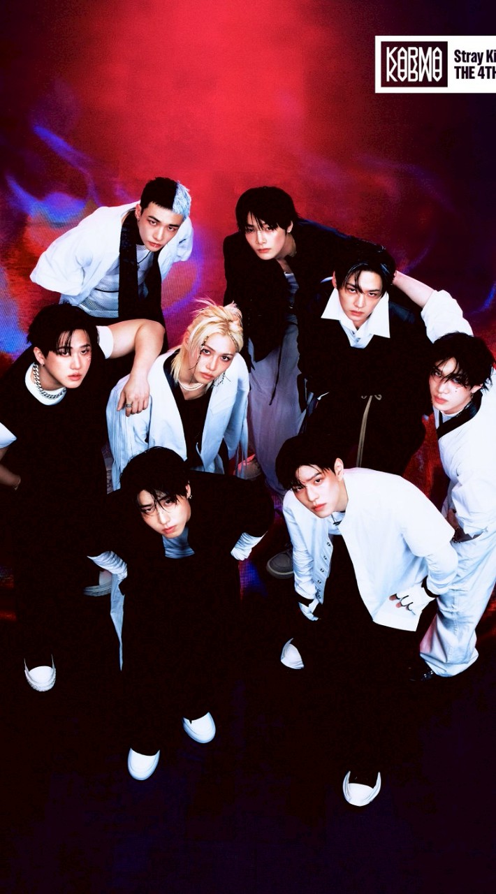 Stray Kids 世巡高雄場及分享相關消息討論群