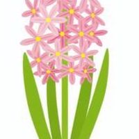 はないくＲ4秋