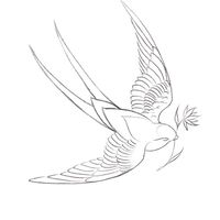 各自遊歷的白鳥商會🕊️