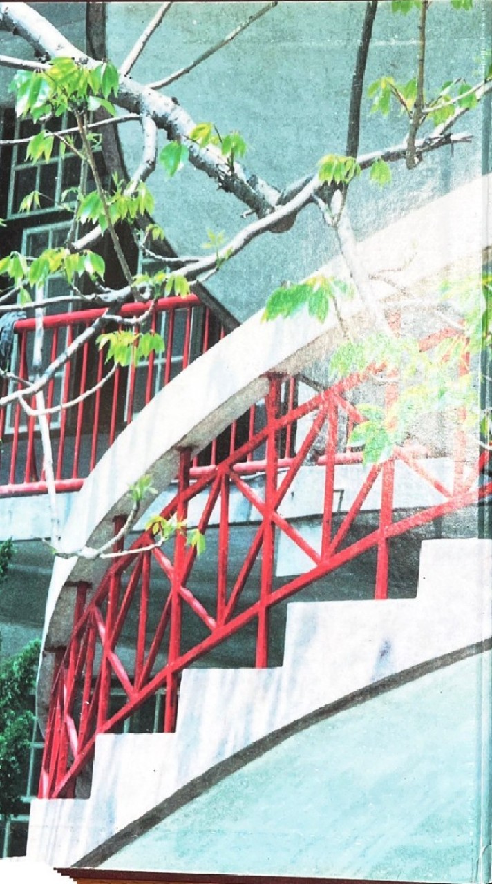 國立雲林工專校友群