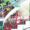 國立雲林工專校友群
