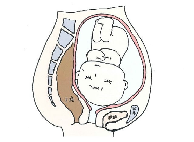 お産あるある ママ 便意が 助産師 それ 赤ちゃんですよ
