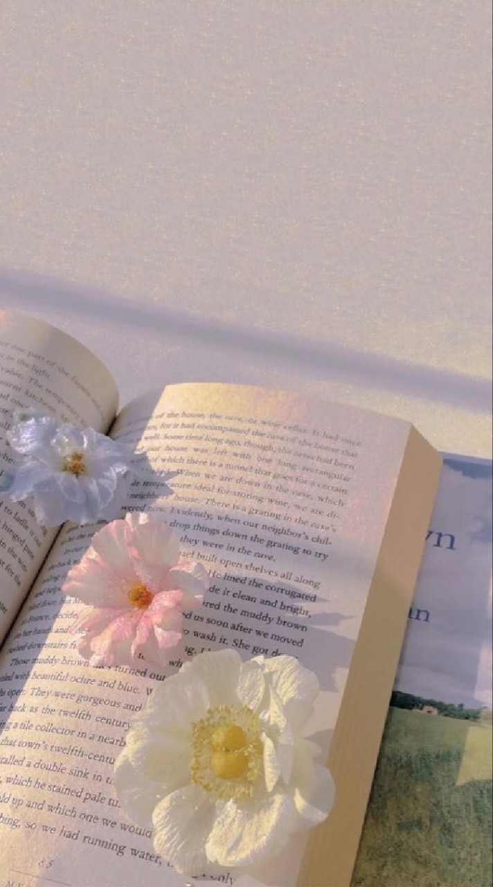 私作物語 ✧⁠作家&讀者