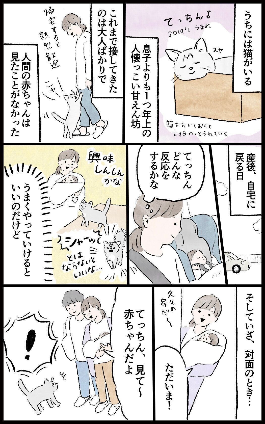 猫と赤ちゃん、はじめての対面【小玉なこ】