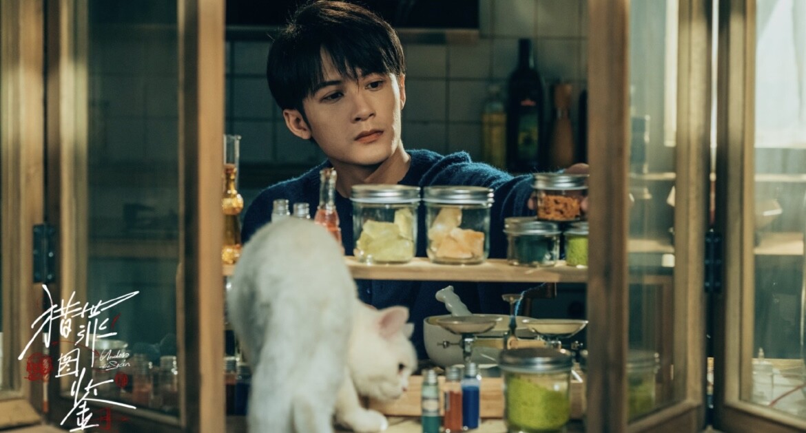 「檀健次」續演《獵罪圖鑑2》！大陸超火懸疑推理劇《獵罪圖鑑》的劇情介紹＆網友評價