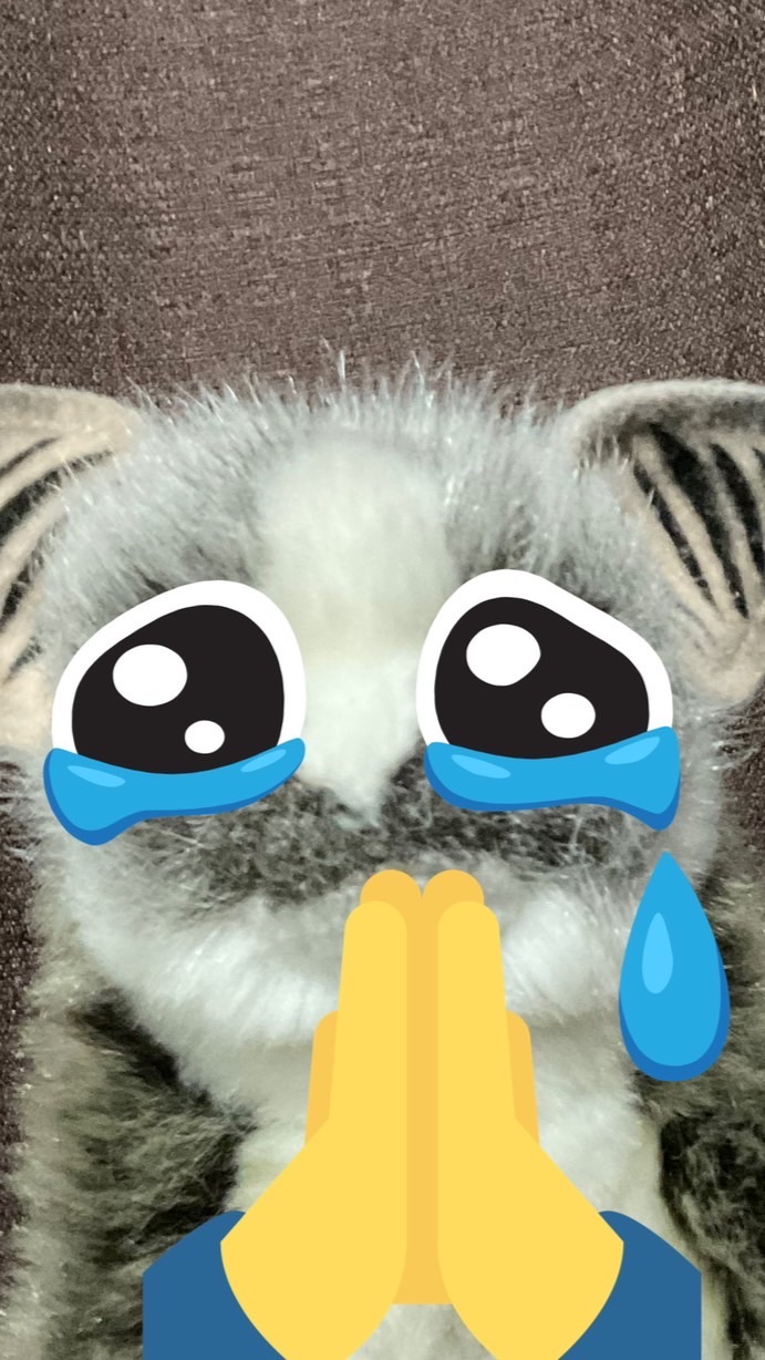 ป่าช้าชั้นดีย์(มาคุยกัน)😔🤟🏻