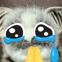 ป่าช้าชั้นดีย์(มาคุยกัน)😔🤟🏻