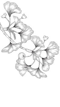 YU✈️柑仔店🎈佩戴甲販售中