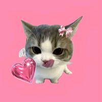 貓市社會㍿🐱💭