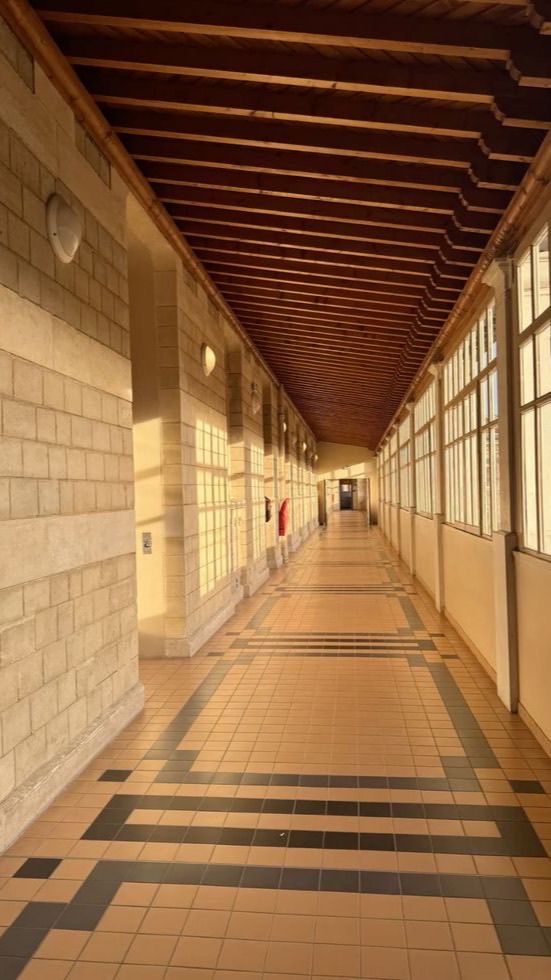 🏫┆𝐊𝐫𝐢𝐭𝐭𝐚𝐫𝐚 𝐔𝐧𝐢𝐯𝐞𝐫𝐬𝐢𝐭𝐲 ⸝⸝ ʀᴘ