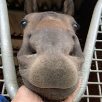 🦮JFMご自慢のペット&相談窓口🐈️