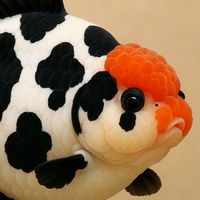蘭壽、孔雀水族小圈