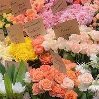 ✴️✴️関東　熟女💞紳士💟　寂しがり😢孤独な時間におしゃべり❇️癒し空間🌐🌐