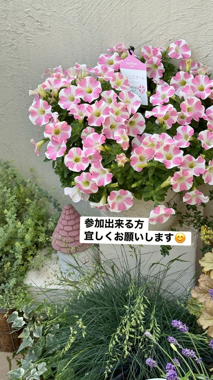 ガーデニング　♡お花仲間♡