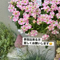 ガーデニング　♡お花仲間♡