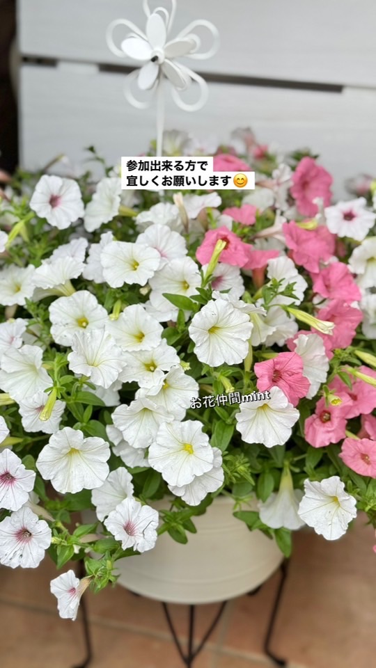 ガーデニング　♡お花仲間♡
