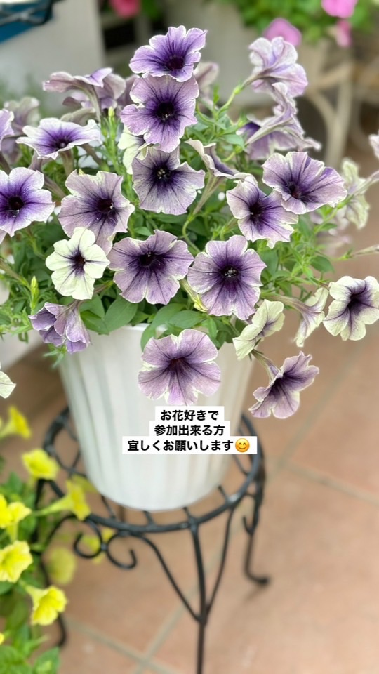 ガーデニング　♡お花仲間♡