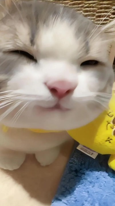激緩緩な全也‼️