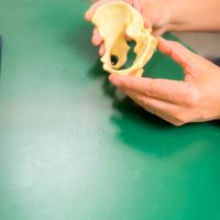カラダのミカタ🙌 in長野