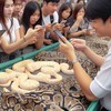 🐍📣ตลาดซื้อขายงูบอลไพธอน Ball Python Market📣🐍