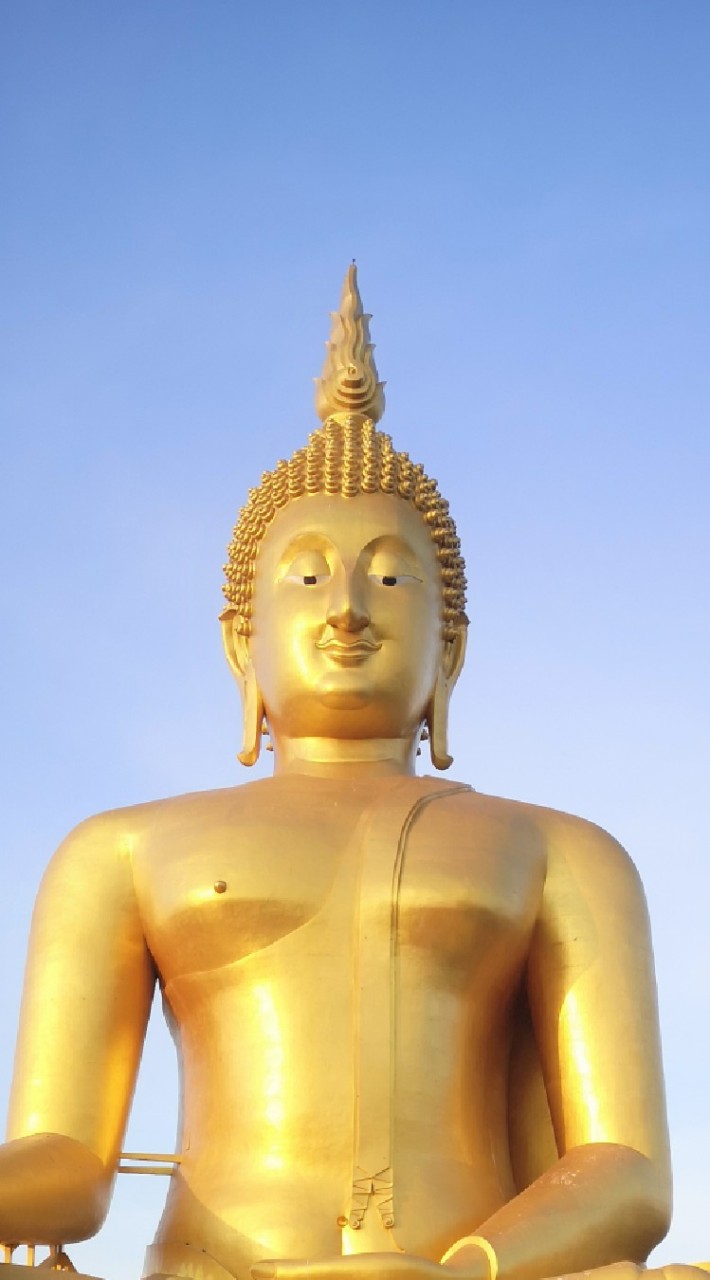 ข่าวสารชาววัง๖๕