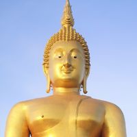 ข่าวสารชาววัง๖๕