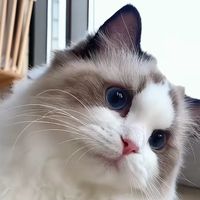 快樂操盤討論區