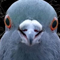 みんなおいで話そう帝国