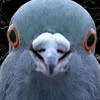 みんなおいで話そう帝国