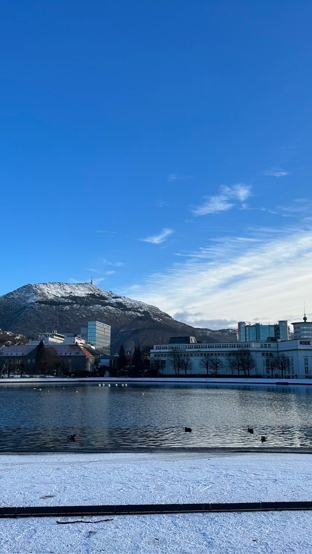 歐洲代購 挪威🇳🇴 愛爾蘭🇮🇪