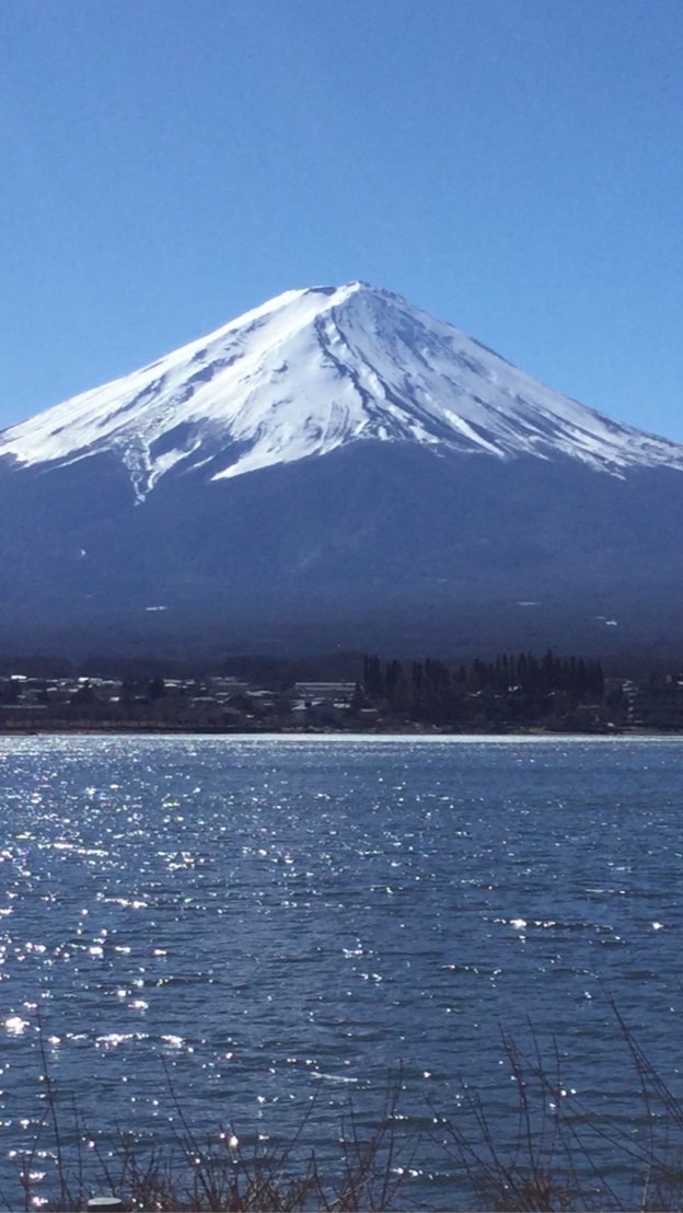 💐新Team JAPAN💐