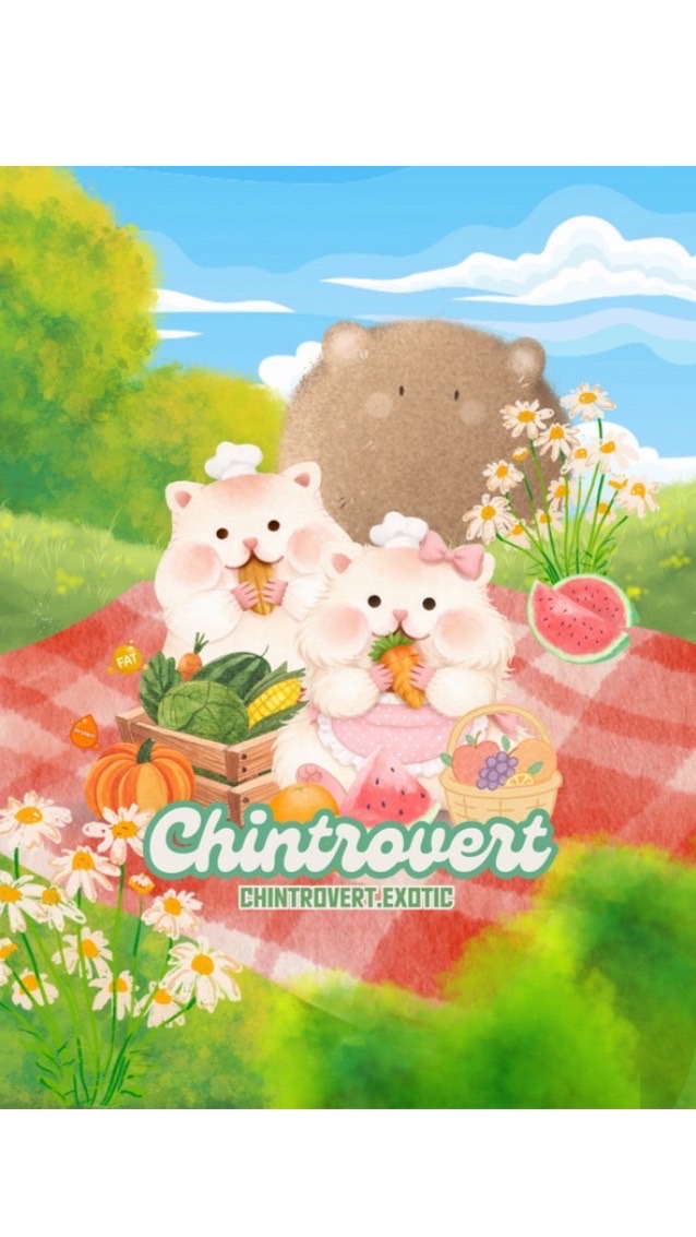 Chintrovert Shop✨