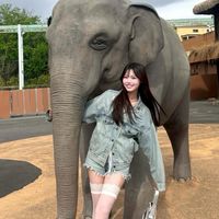 あにょまる動物園🐣