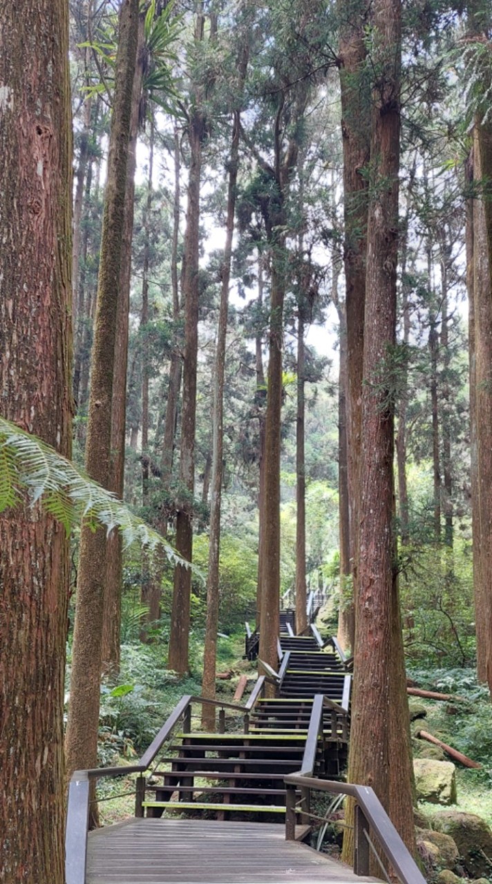 藥74甲天涯若比鄰