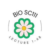 SC111Bio1/68TU