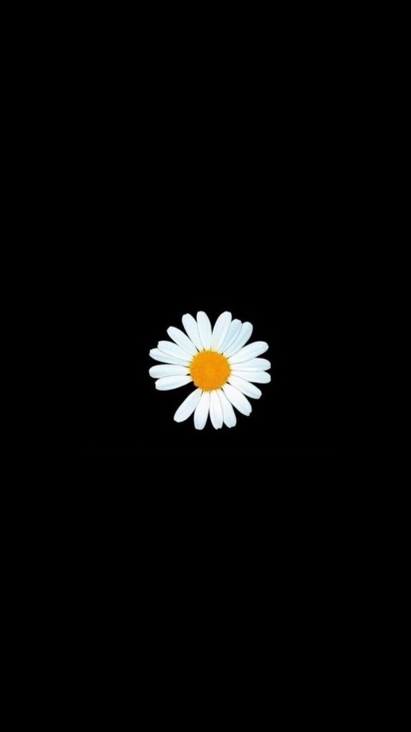 ジヨン🌼📷🩷