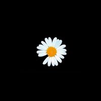 ジヨン🌼📷🩷