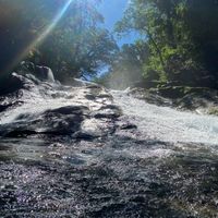 福岡県 近郊の40代50の(ﾟ∀ﾟ)人(ﾟ∀ﾟ)ﾅｶｰﾏ。話そぼちぼち、ゆったり～おいで(つ *´︶`*)っ