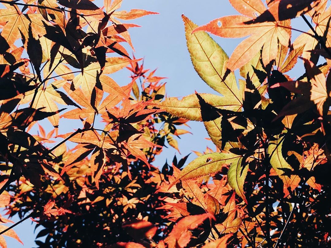 奧萬大 @jiugua 97