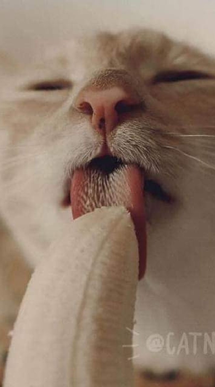 Gay (เกย์ หาคู่ หาเพื่อน คุยเล่น) 🏳️‍🌈🏳️‍🌈