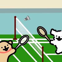 Friday🏸Badminton