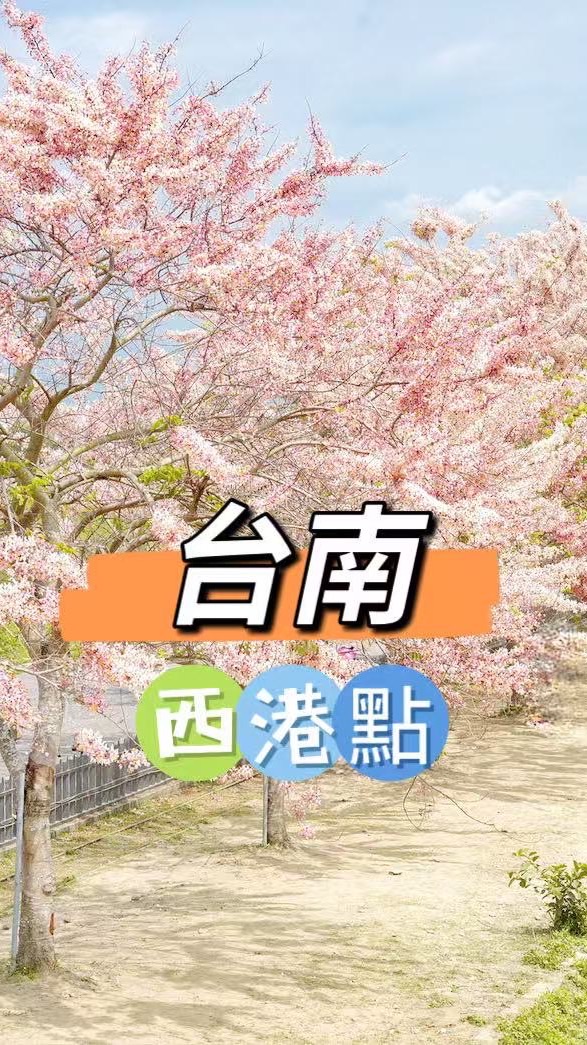 禾日🍀台南西港點