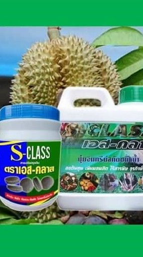 ชมรมเกษตรอินทรีย์ควนโดน สตูล